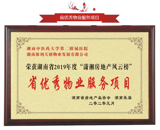 湖南保安服務,墻外高空清洗服務,湖南保利天創物業發展有限公司