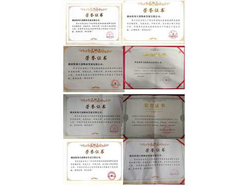 湖南保安服務,墻外高空清洗服務,湖南保利天創物業發展有限公司
