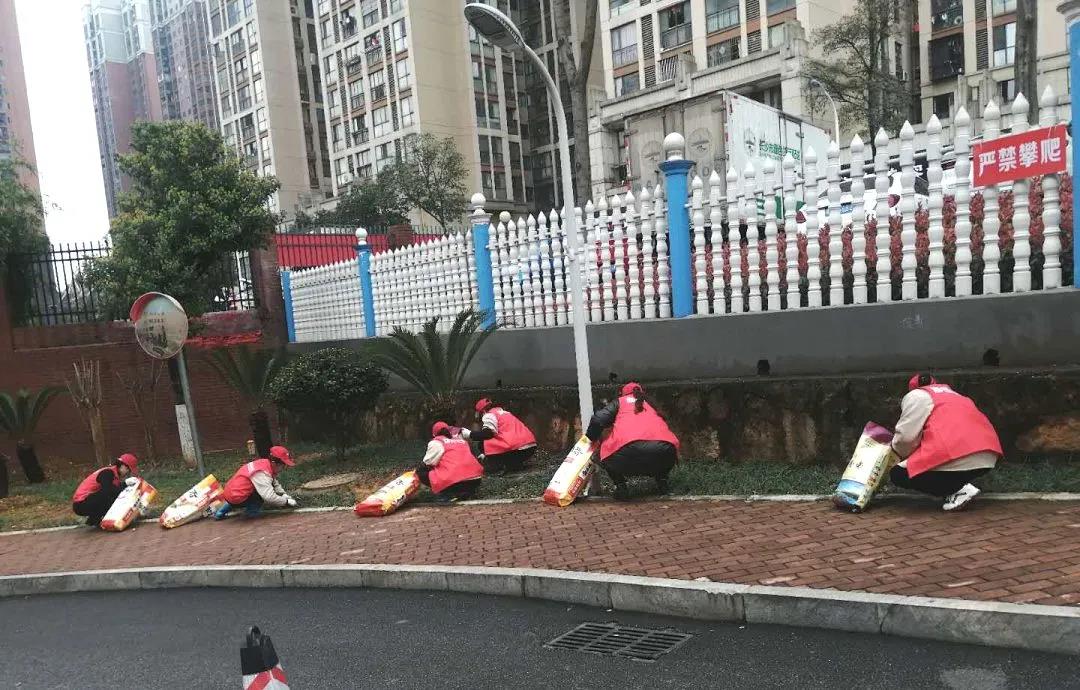 湖南保安服務,墻外高空清洗服務,湖南保利天創(chuàng)物業(yè)發(fā)展有限公司