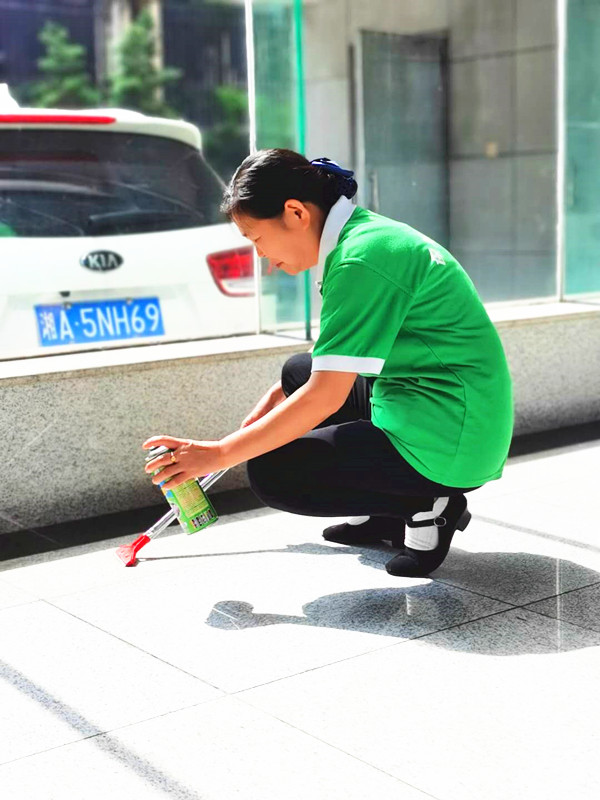 湖南保安服務,墻外高空清洗服務,湖南保利天創物業發展有限公司