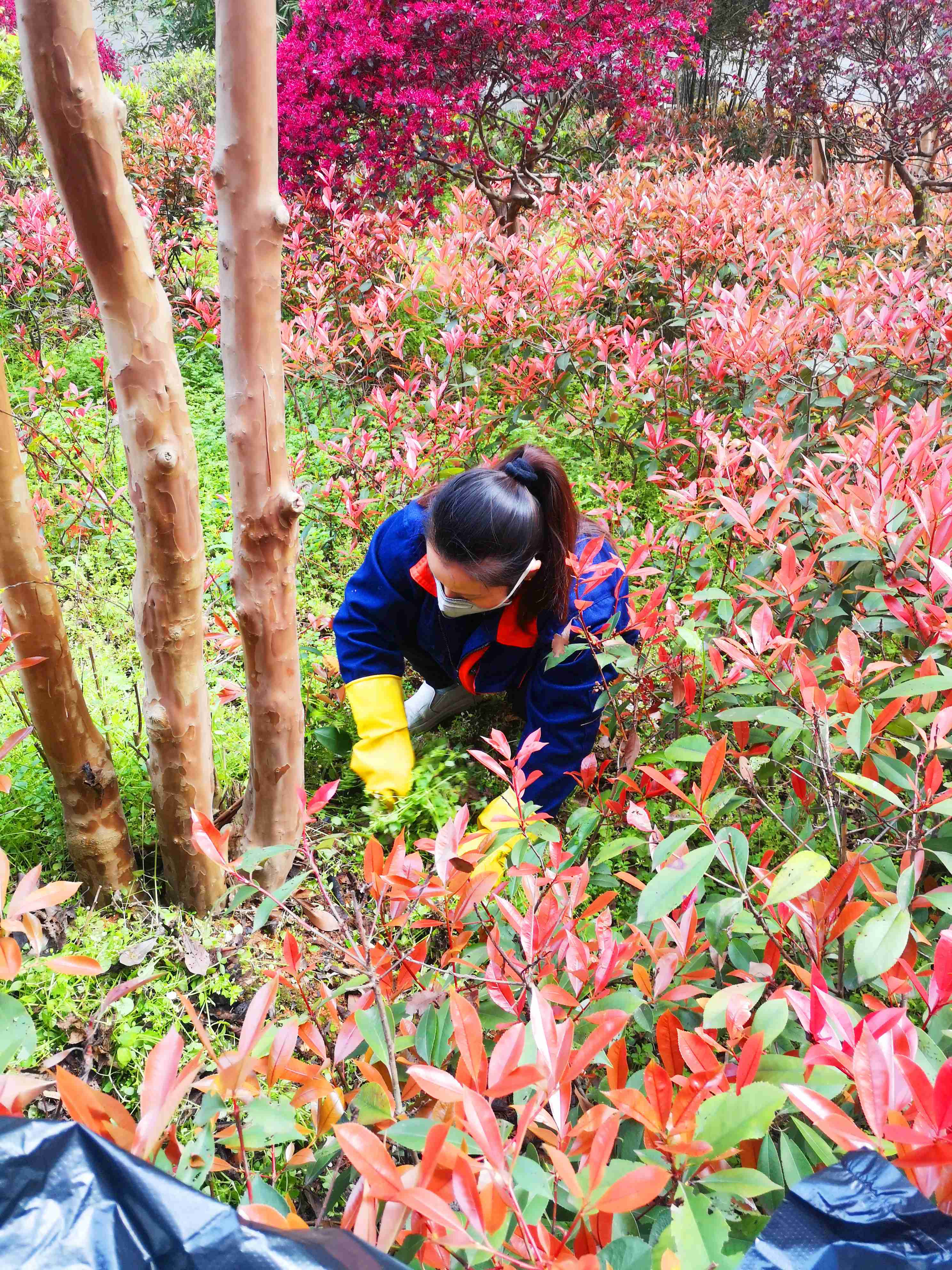 湖南保安服務,墻外高空清洗服務,湖南保利天創物業發展有限公司