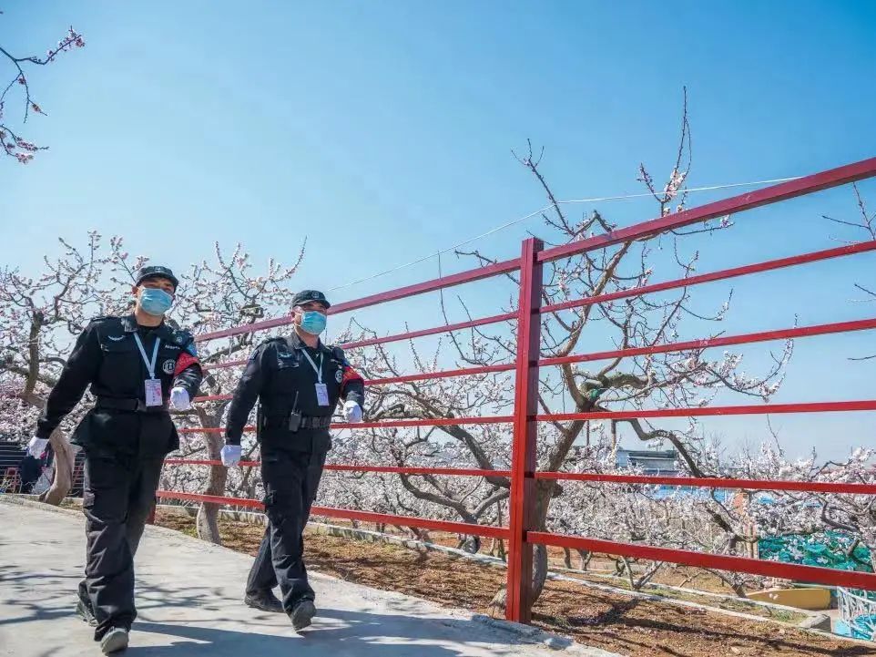 湖南保安服務,墻外高空清洗服務,湖南保利天創(chuàng)物業(yè)發(fā)展有限公司