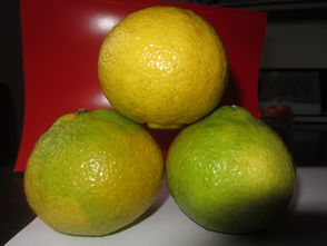 洪江市黔陽(yáng)紅農(nóng)產(chǎn)品專業(yè)合作社 專業(yè)食用農(nóng)產(chǎn)品批發(fā)與供應(yīng)服務(wù)